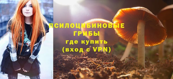 молекула духа Переславль-Залесский
