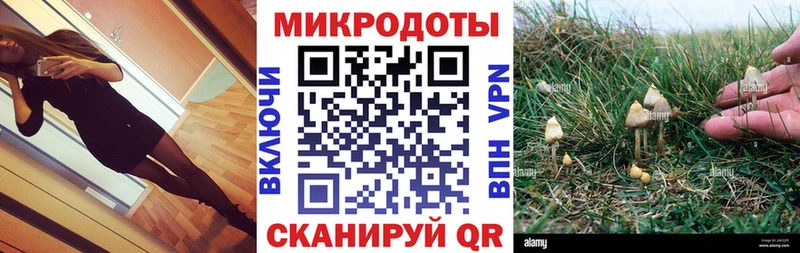 Псилоцибиновые грибы Psilocybe  ссылка на мегу как зайти  Старая Купавна 